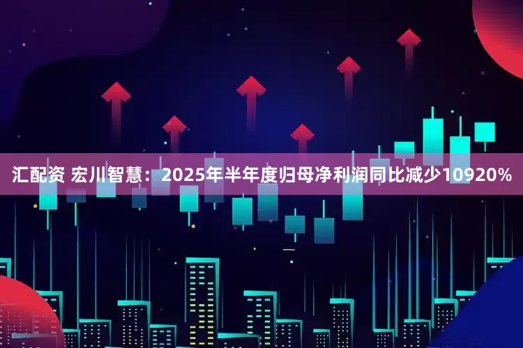 汇配资 宏川智慧：2025年半年度归母净利润同比减少10920%